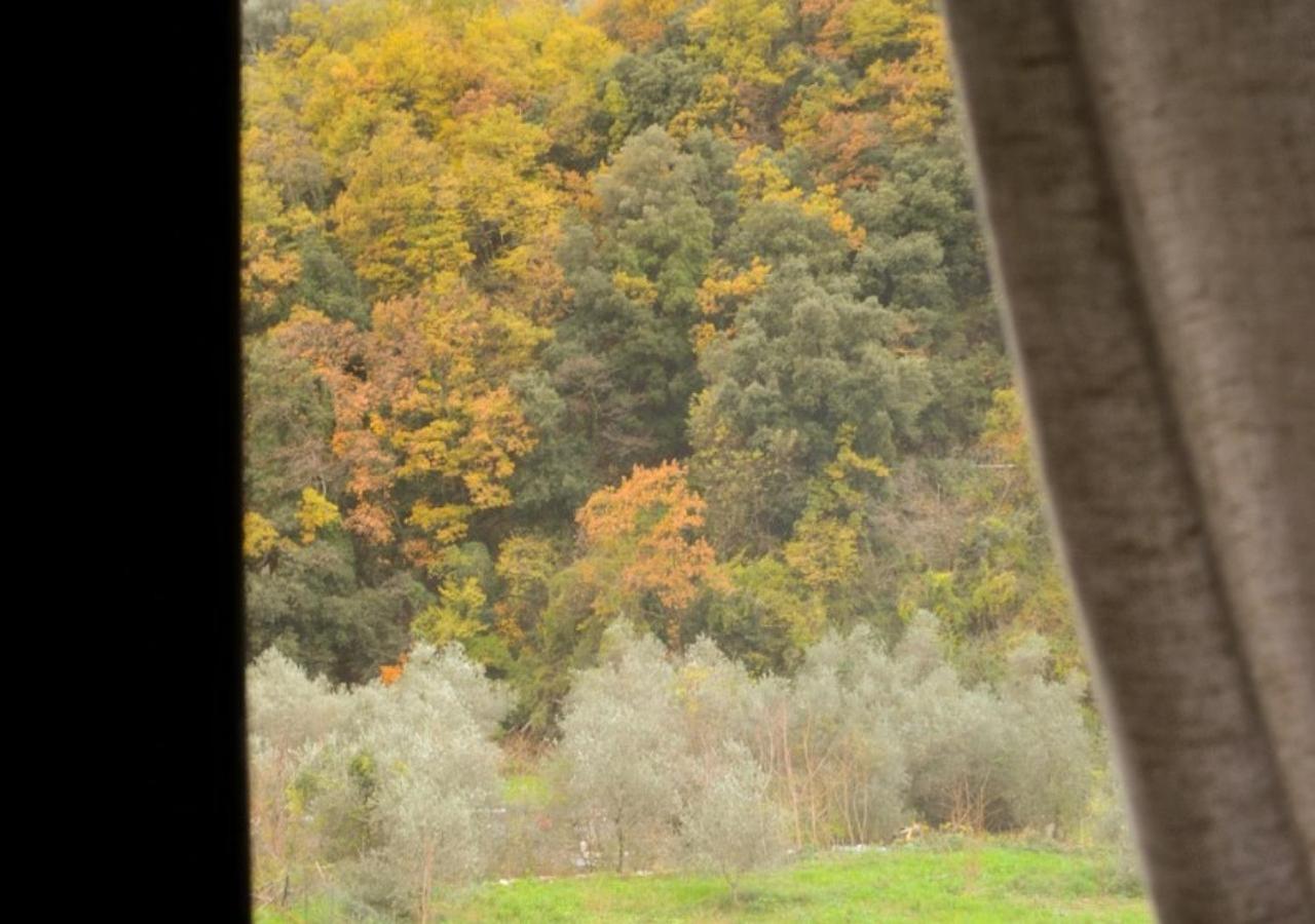 Montalto LigureIl Cappellaio Matto住宿加早餐旅馆 外观 照片